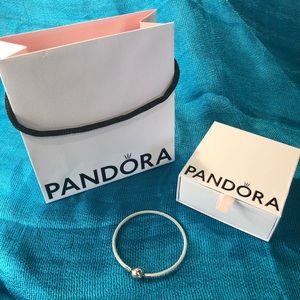 NIB Pandora Moments mesh bracelet